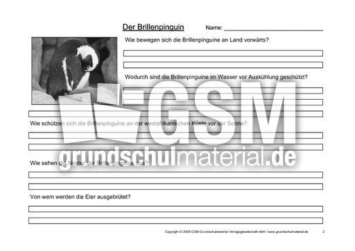 Brillenpinguin-Fragen-2.pdf